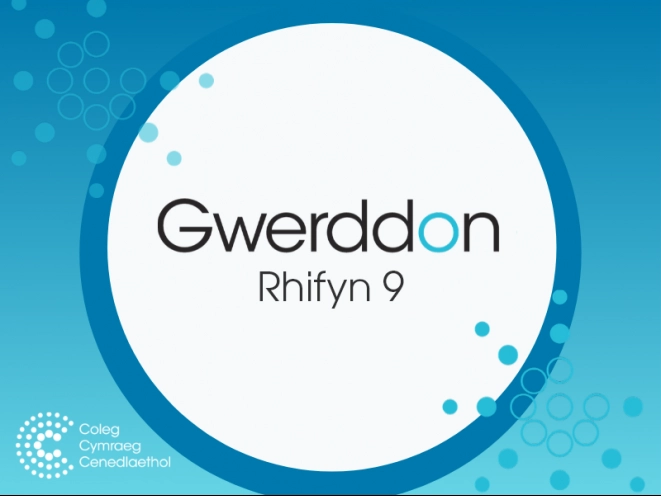 mân-lun cyfrol gwerddon 9