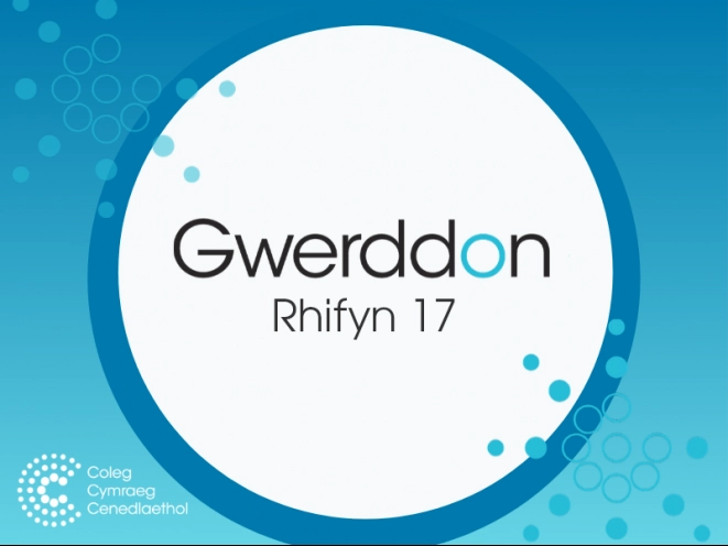 mân-lun cyfrol gwerddon 17