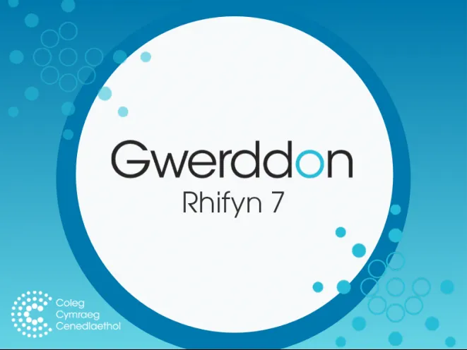 mân-lun cyfrol gwerddon 7