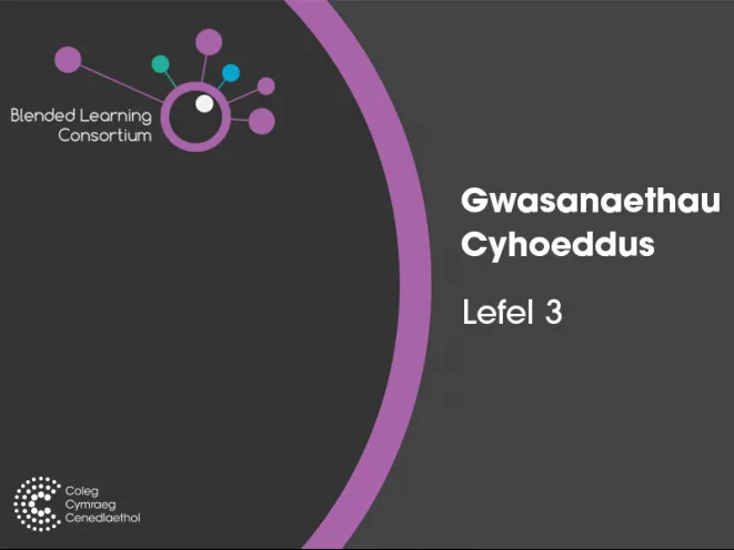 mân-lun Gwasanaethau Cyhoeddus Lefel 3