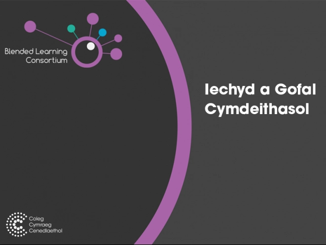 mân-lun iechyd a gofal cymdeithasol