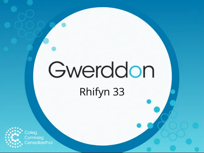 mân-lun Gwerddon 33