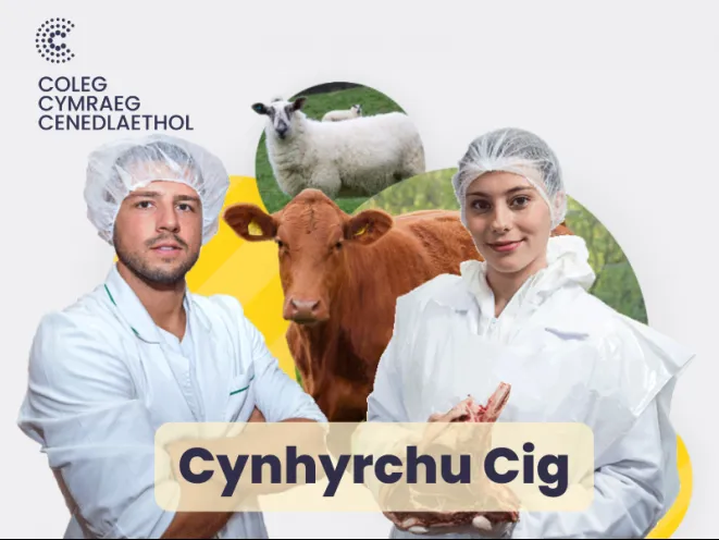 mân lun cynhyrchu cig