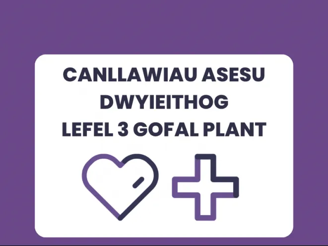 Canllawiau Asesu Dwyieithog Lefel 3 Gofal Plant