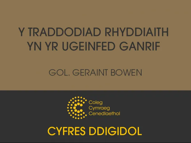 mân-lun cyfrol ddigidol