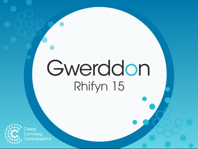 mân-lun cyfrol gwerddon 15