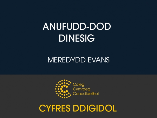 mân lun cyfrol ddigidol