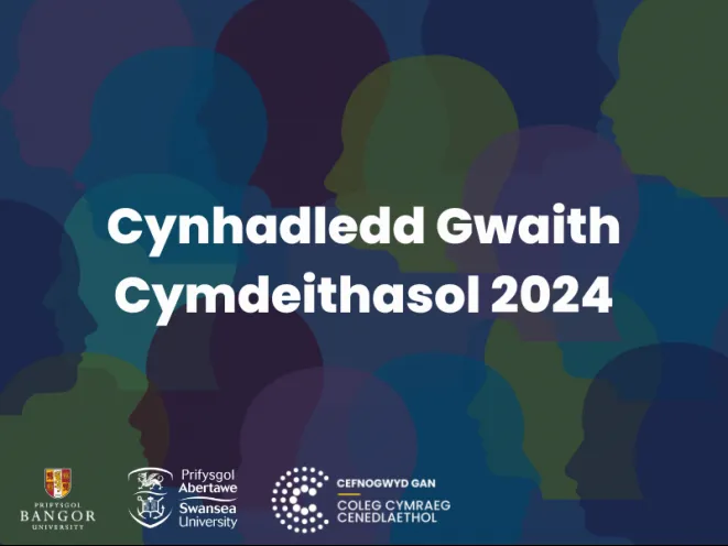 mán lun gwaith cymdeithasol