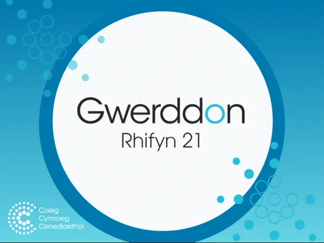 mân-lun cyfrol gwerddon 21