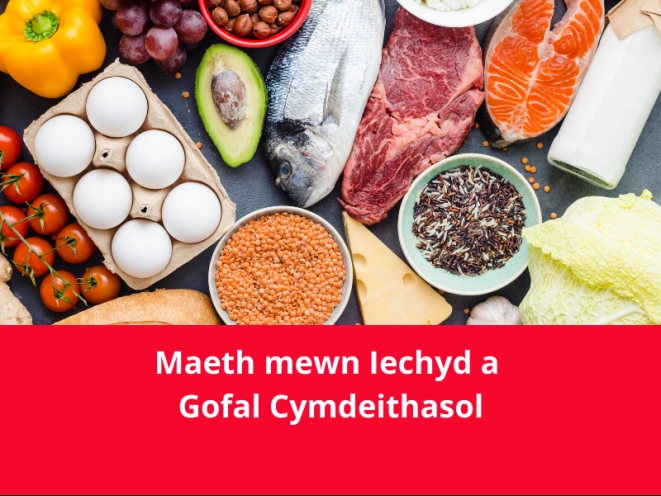 mân-lun cyflwyniad maeth