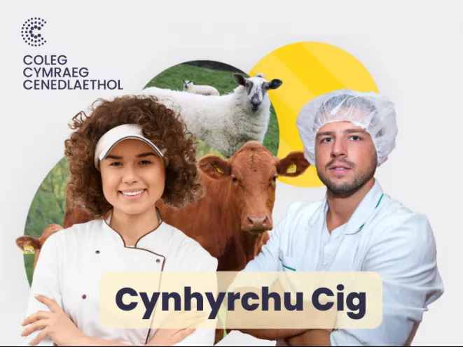mân lun cynhyrchu cig