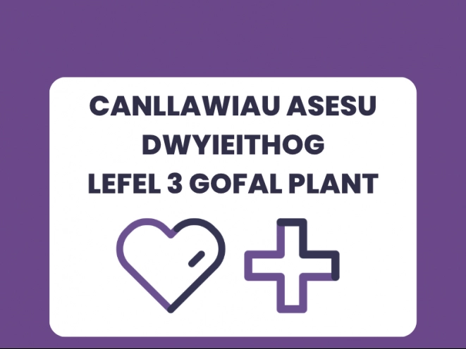 Canllawiau Asesu Dwyieithog Lefel 3 Gofal Plant