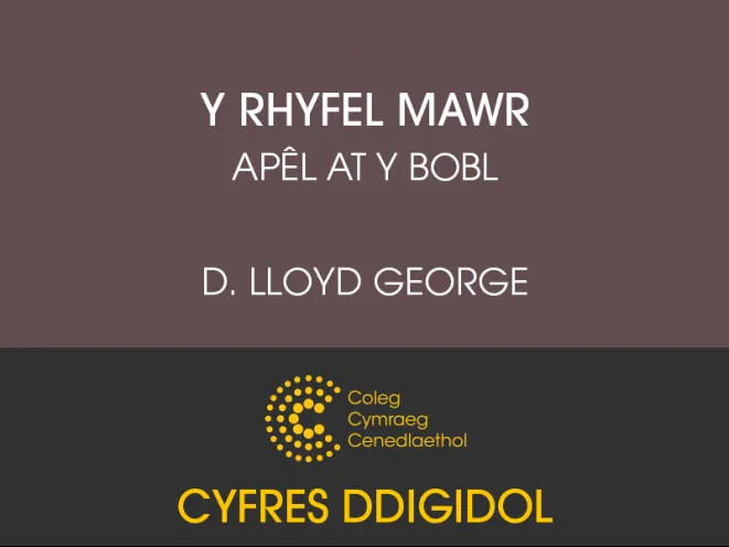 mân-lun cyfrol ddigidol