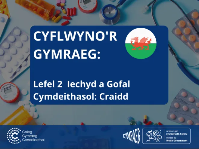 mân-lun iechyd a gofal cymdeithasol