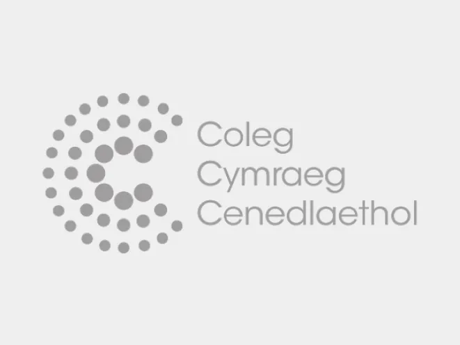 Cyngor i Addysgwyr: Cefnogi Defnydd o’r Gymraeg o fewn Addysg Drydyddol