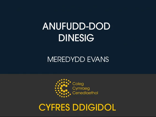 mân lun cyfrol ddigidol