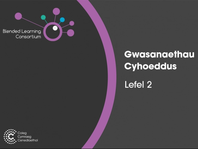 mân-lun Gwasanaethau Cyhoeddus Lefel 2