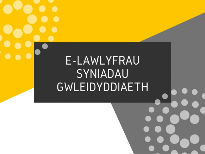 E-lawlyfrau Syniadau Gwleidyddiaeth